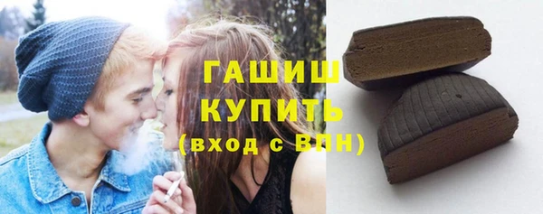 гидра Богородицк