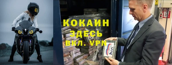 гидра Богородицк