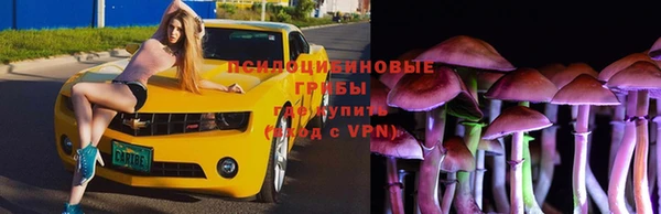 дмт Богородск