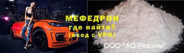 гидра Богородицк