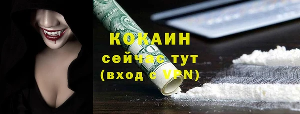 гидра Богородицк