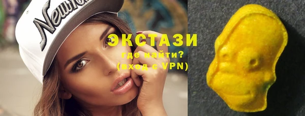 дмт Богородск