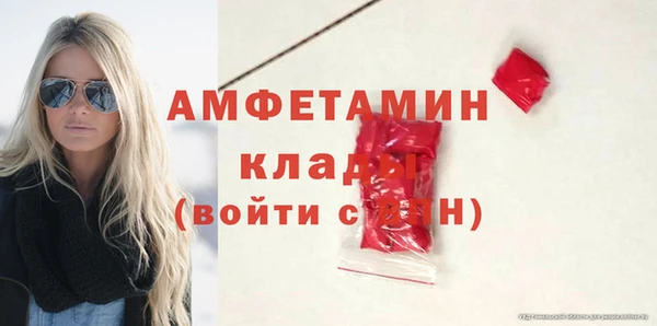 гидра Богородицк