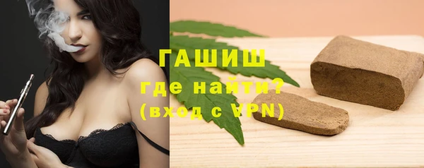 гидра Богородицк