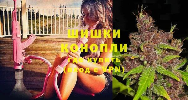 гидра Богородицк