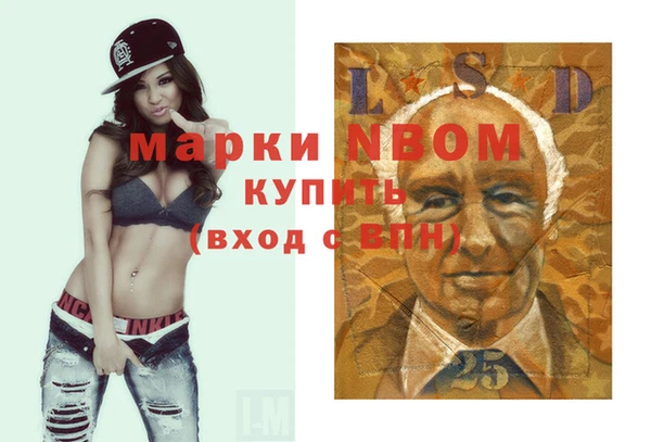 гидра Богородицк