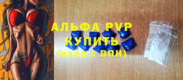 гидра Богородицк
