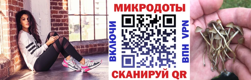 как найти закладки  Шарья  Псилоцибиновые грибы MAGIC MUSHROOMS 